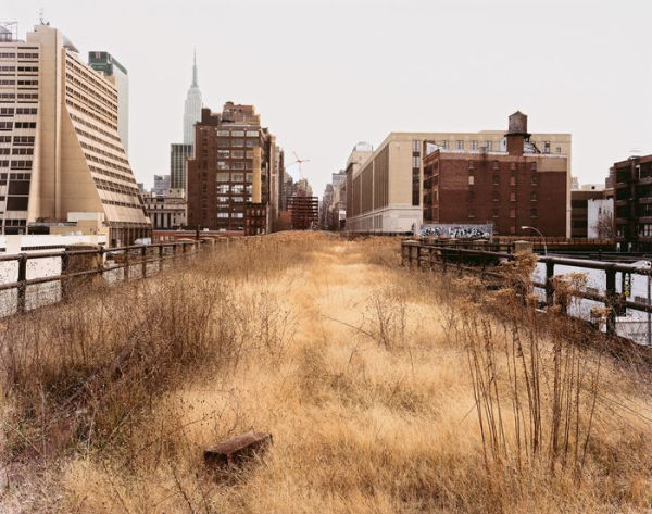 Joel Sternfeld: Walking the High Line: Revised Edition by Joel