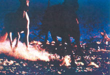 Alternative view 4 of Michel Comte: American Road Stories