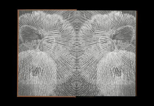 Susanne Kriemann: Ge(ssenwiese), K(anigsberg): Library for Radioactive Afterlife