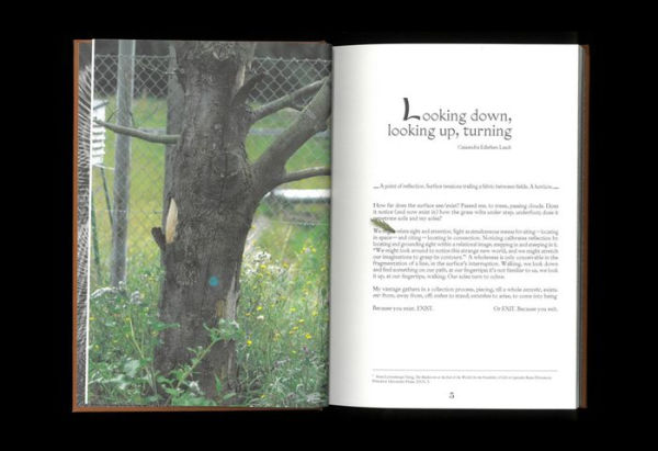 Susanne Kriemann: Ge(ssenwiese), K(anigsberg): Library for Radioactive Afterlife