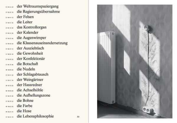 Jeffrey Ladd: The Awful German Language