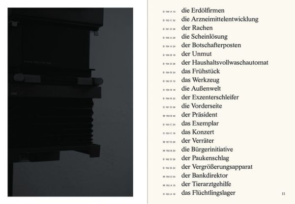 Jeffrey Ladd: The Awful German Language