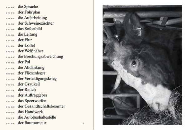 Jeffrey Ladd: The Awful German Language