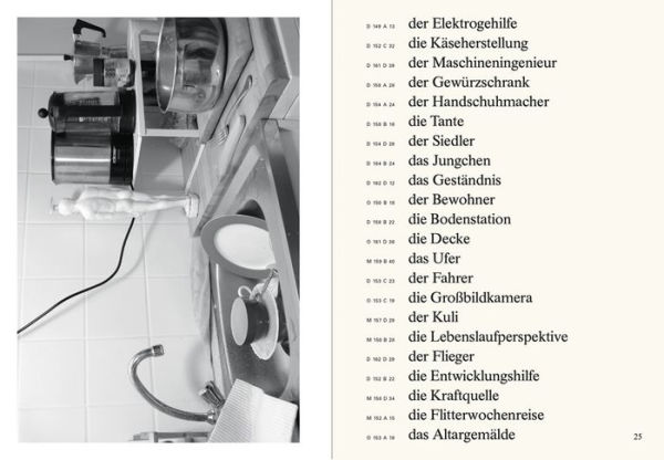 Jeffrey Ladd: The Awful German Language