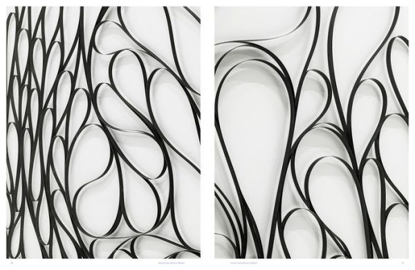 Carsten Nicolai: Parallax Symmetry by Carsten Nicolai, Hardcover