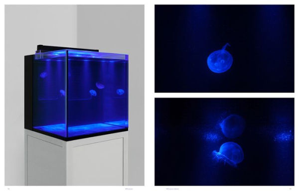 Carsten Nicolai: Parallax Symmetry by Carsten Nicolai, Hardcover