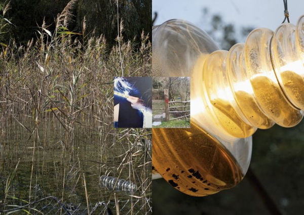 Mathis Pfäffli: Tracer