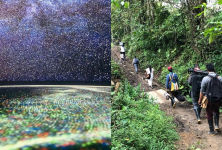 Alternative view 2 of Ursula Biemann: Forest Mind: On the Interconnection of All Life