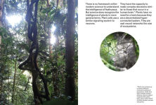Alternative view 3 of Ursula Biemann: Forest Mind: On the Interconnection of All Life
