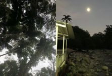 Alternative view 6 of Ursula Biemann: Forest Mind: On the Interconnection of All Life