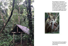 Alternative view 8 of Ursula Biemann: Forest Mind: On the Interconnection of All Life