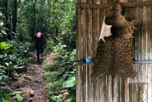 Alternative view 10 of Ursula Biemann: Forest Mind: On the Interconnection of All Life
