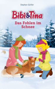 Title: Bibi & Tina - Das Fohlen im Schnee: Roman, Author: Stephan Gürtler