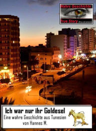 Title: Ich war nur ihr Goldesel: Eine wahre Geschichte aus Tunesien, Author: Hannes M.