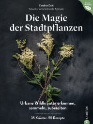 Title: Magie der Stadtpflanzen: Urbane Wildkräuter erkennen, sammeln, zubereiten. 35 Kräuter. 55 Rezepte., Author: Caroline Deiß
