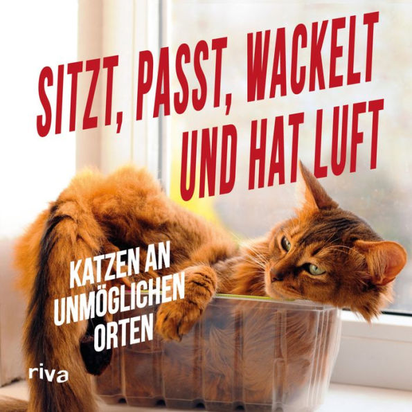Sitzt, passt, wackelt und hat Luft: Katzen an unmöglichen Orten