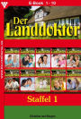 E-Book 1-10: Der Landdoktor Staffel 1 - Arztroman