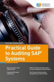 Title: Practical Guide to Auditing SAP Systems, Author: Martin Metz