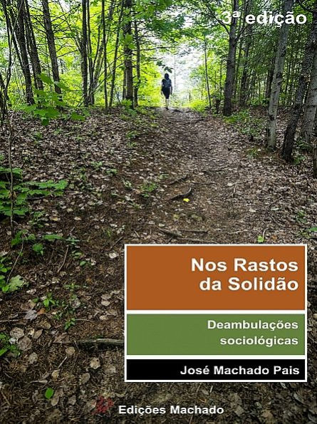 Nos Rastos da Solidão. Deambulações Sociológicas