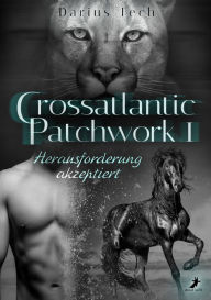 Title: Crossatlantic Patchwork 1: Herausforderung akzeptiert, Author: Darius Tech