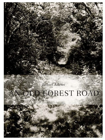 Robert Adams: An Old Forest Road