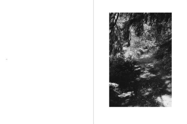 Robert Adams: An Old Forest Road