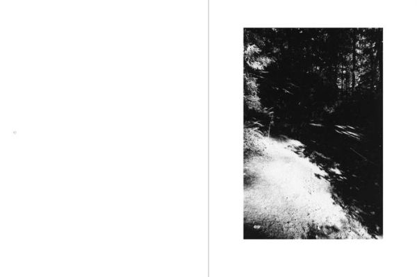 Robert Adams: An Old Forest Road