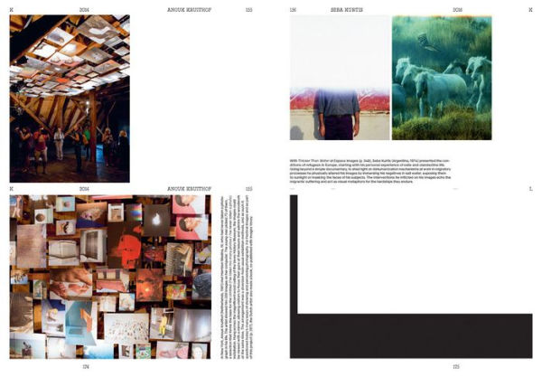 The Book of Images: A Dictionary of Visual Experiences