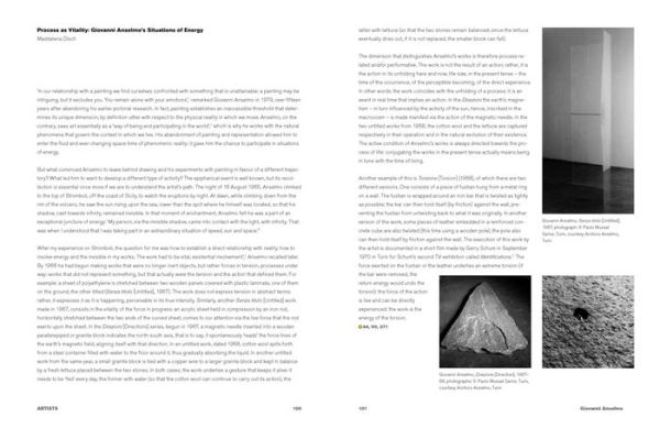 Entrare nell'opera: Processes and Performative Attitudes in Arte Povera