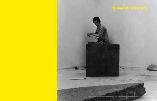 Entrare nell'opera: Processes and Performative Attitudes in Arte Povera