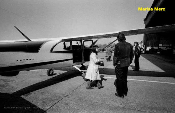 Entrare nell'opera: Processes and Performative Attitudes in Arte Povera