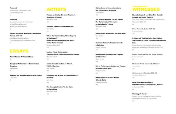 Entrare nell'opera: Processes and Performative Attitudes in Arte Povera