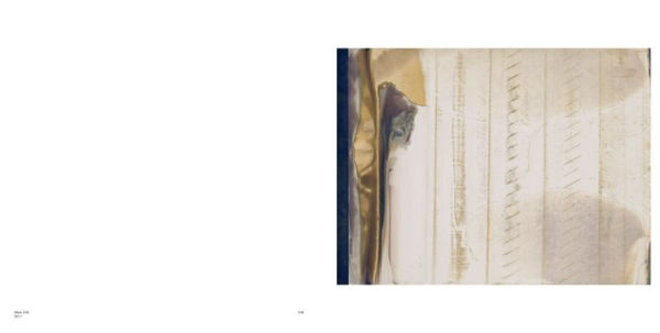 Wolfgang Tillmans: Saturated Light (Silver Works)