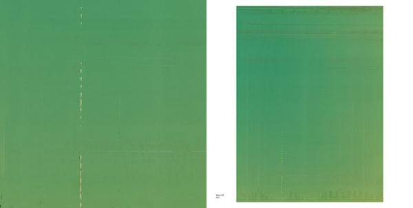 Wolfgang Tillmans: Saturated Light (Silver Works)