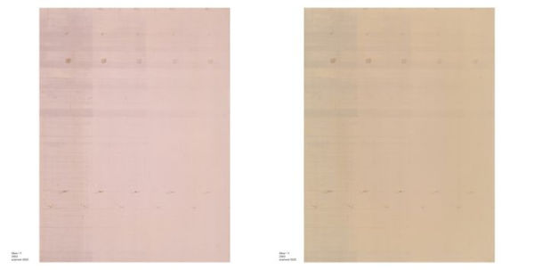Wolfgang Tillmans: Saturated Light (Silver Works)