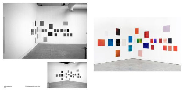 Wolfgang Tillmans: Saturated Light (Silver Works) by Wolfgang Tillmans: Saturated Light (Silver Works) by