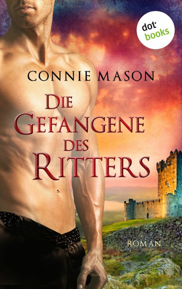 Die Gefangene des Ritters: Roman