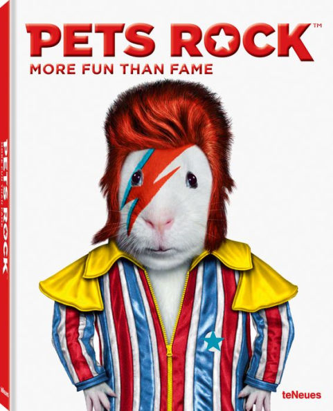 Pets Rock: More Fun than Fame
