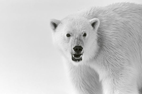 Greenland