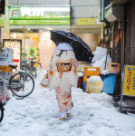Alternative view 7 of Tokyo Unseen