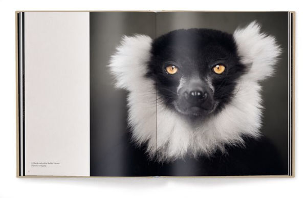 Between Us: Animal Portraits