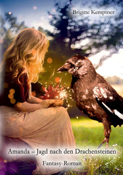 Amanda - Jagd nach den Drachensteinen: Fantasy-Roman