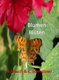 Title: Blumen Blüten, Author: B. Bauch