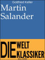 Martin Salander: Roman