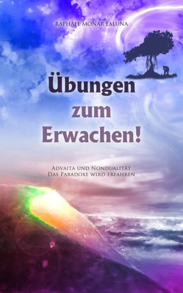 Übungen zum Erwachen!: Advaita und Nondualität. Das Paradoxe wird erfahren.