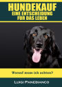 Hundekauf eine Entscheidung für das Leben: Worauf muss ich achten?