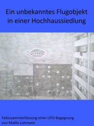 Title: Ein unbekanntes Flugobjekt in einer Hochhaussiedlung, Author: Mattis Lühmann