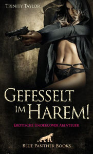 Title: Gefesselt im Harem! Erotische Undercover Abenteuer: Terry hat immer ein erotisches Ass im Ärmel ... die Waffen einer Frau!, Author: Trinity Taylor