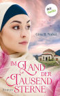 Im Land der tausend Sterne: Roman