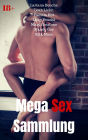 Mega Sex Sammlung: 599 versaute Geschichten auf mehr als 5000 Seiten!